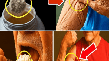 Top 10 Foods for Better Joint Health: Unlock Pain-Free Movement with Every Bite
