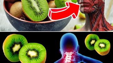 The Drink That Replaced All My Grandmother’s Pills — Her Doctor Couldn’t Believe the Results!