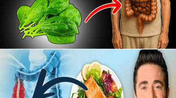 Want a HEALTHIER Body in 2025? Try 7 Days Without PROCESSED FOOD
