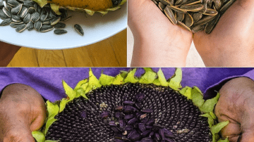 8 Miracle Drinks That Cleanse Your Blood Sugar While You Sleep!