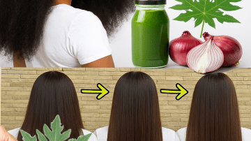 Top Superfoods to Supercharge Your Kidney Health