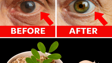 The Vision Secret Every Person Over 50 Should Know (Before It’s Too Late)