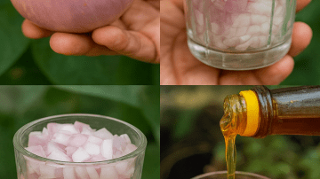 Garlic Uncovered: Ancient Wisdom for Modern Well-Being