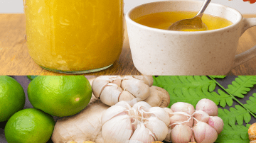 Grows Everywhere: If You See This Tree in Your Garden, You’re Sitting on Gold and Don’t Even Know It! – Polyscias fruticosa