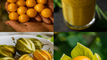 Start Today with a Comforting Cup of Ginger and Clove Tea—and Let Nature Work Its Magic!