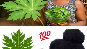 Top Remedies to Get Rid of Dark Lips – Say Goodbye to Discoloration Naturally!