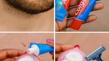 Grows Everywhere: If You See This Tree in Your Garden, You’re Sitting on Gold and Don’t Even Know It! – Polyscias fruticosa