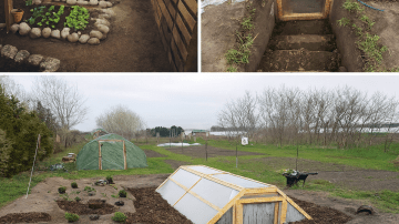 Watermelon, Carrot, Beetroot & Ginger Juice: The Ultimate Detox Drink