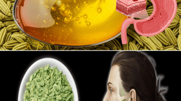 Top 3 VITAMINS That Help Stop PROTEINURIA & Heal Your KIDNEYS! Senior Health Tips