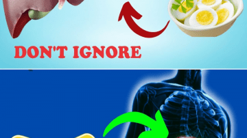 This Ancient Fruit Juice Promotes Healthy Blood Flow and Balance Throughout the Body!