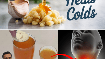 Feeling Overwhelmed and Stressed? Top 12 Indoor Plants for a Healthier Life