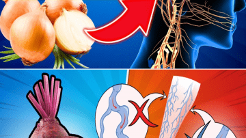 10 Superfoods for Strong Bones and Preventing Osteoporosis