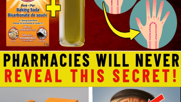 Chia Seed Water: The 10-Minute Detox Drink for a Clean, Healthy Gut!