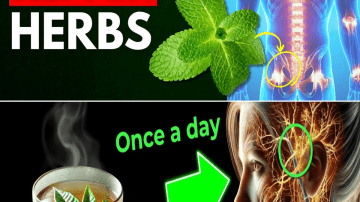 10 Foods & Drinks to Avoid During Pregnancy: Your Baby’s Silent Protectors