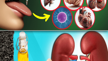 SENIORS: This Seed REVERSES Muscle Loss In Just 7 Days!