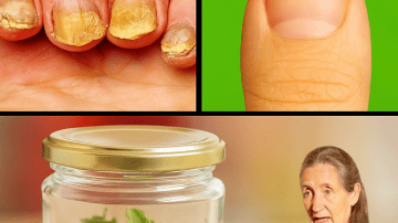 Lemongrass: My Favorite Grass for Tea – The Aromatic Elixir That Transforms Your Health in One Sip