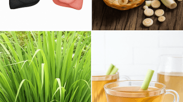 Old Doctors: Fennel Seeds & Honey has a Secret 95% of Seniors have Never Heard Of