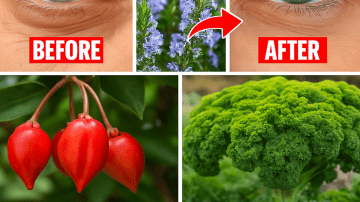 Avoid These 7 Plant-Based Foods That Can Damage Your Kidneys