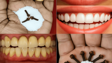 Old Doctors: Fennel Seeds & Honey has a Secret 95% of Seniors have Never Heard Of