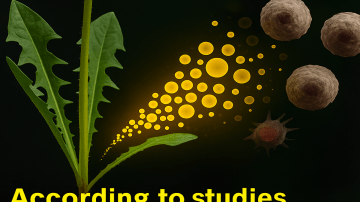 1 Minute a Day, Big Results — The Power of Daily Plank!