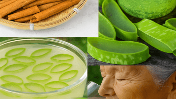 This Ancient Fruit Juice Promotes Healthy Blood Flow and Balance Throughout the Body!