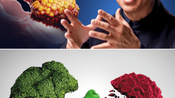 Celery Secrets: The Ancient Green Elixir of Wellness