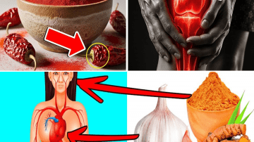 The Ancient Secret in Guava Leaves Modern Wellness Is Rediscovering