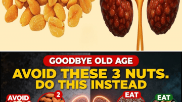 Aloe Vera: The Natural Shield Against Bacteria