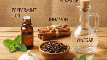 12 Genius DIY Ideas to Repurpose Empty Tuna Cans