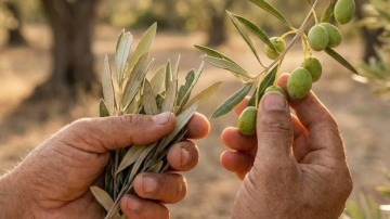 10 Warning Signs of Breast Cancer You Should Never Ignore