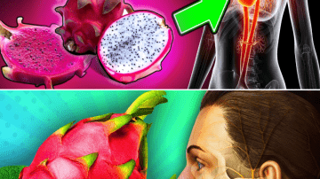 The 5 “Healthy” Foods Silently Destroying Kidneys in Americans Over 50 (One of Them Is in Your Fridge Right Now)