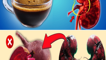 The Silent Kidney Alarm You Can’t Ignore: How to Stop Protein Leak in Urine and Slow Kidney Disease Before It’s Too Late