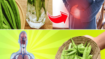 This Ancient Remedy May Hold the Secret to Beating Diabetes and High Blood Pressure