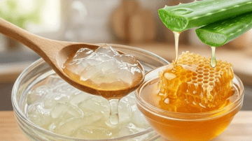 The Ultimate Guide to Getting Rid of Household Pests Once and For Al