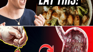 The Ultimate Guide to Getting Rid of Household Pests Once and For Al