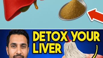 The Ultimate Guide to Getting Rid of Household Pests Once and For Al