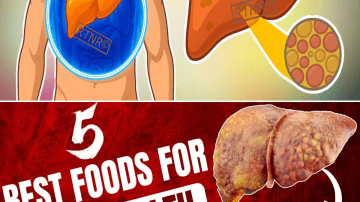 The Ultimate Guide to Getting Rid of Household Pests Once and For Al