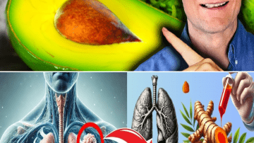 The Ultimate Guide to Getting Rid of Household Pests Once and For Al