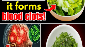 The Ultimate Guide to Getting Rid of Household Pests Once and For Al