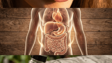 The Miracle Plant That Supports Blood, Skin, and Organ Health — But Only If You Use It Right!