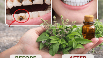 Top 9 Best Vegetables for Diabetics to Eat (That May Help Lower Blood Sugar)