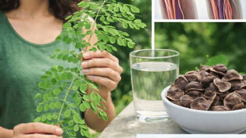 Everyone Loves Papaya, But Most People Do Not Realize the Importance of Its Sap…