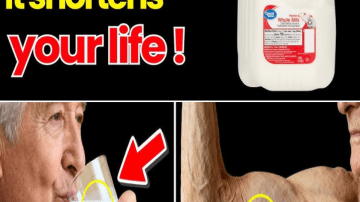 Top 5 Spices That May Support Kidney Health & Help Flush Toxins Naturally