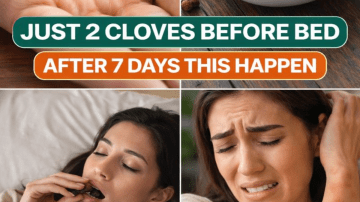 The Plant You Shouldn’t Ignore: Euphorbia Hirta – A Traditional Eye-Care Herb with Big Benefits!