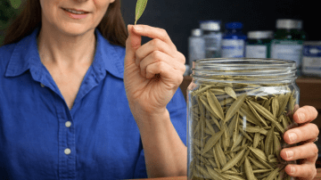 The Leaf That DESTROYS Cancer Cells—Why No One Is Talking About It