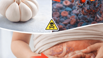 15 Ways Moringa Seeds Can Boost Your Well-Being