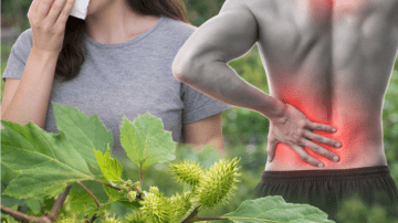 Garlic Before Bed: A Little-Known Habit That’s Getting Attention