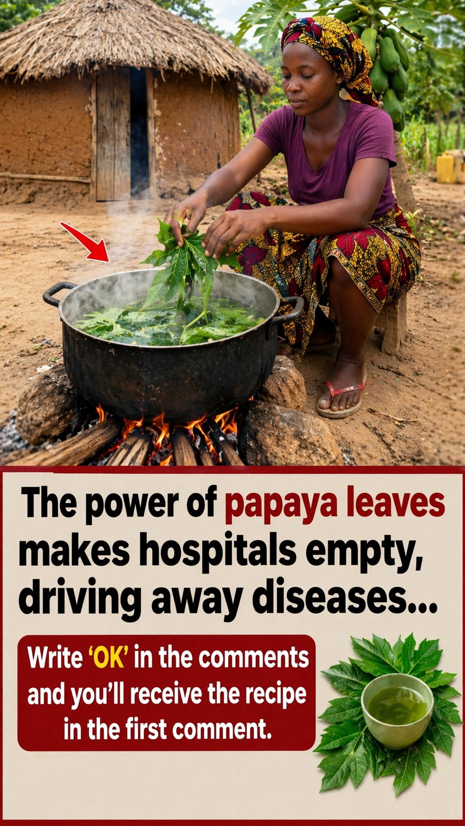 Most Seniors Over 60 Don’t Know This About the Spiky Soursop Fruit